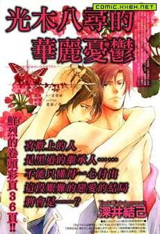 光木八寻的华丽忧郁