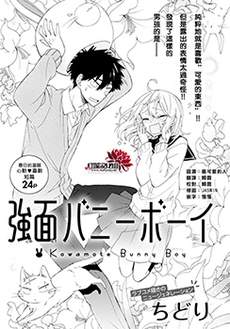 凶面兔子男孩