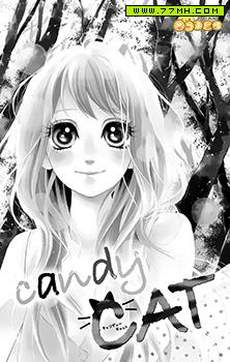 Candy Cat