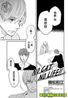 no cat no life