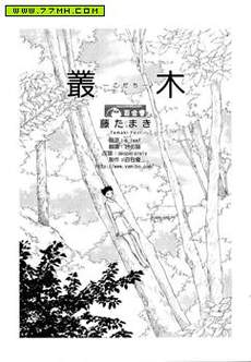 丛木