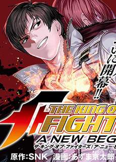 THE KING OF FIGHTERS～A NEW BEGINNING～