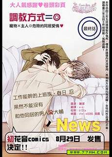 调教方式