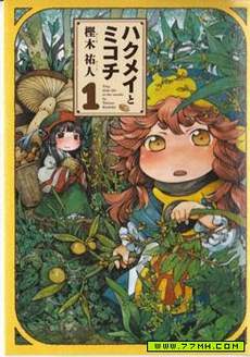 哈库梅伊与蜜珂析