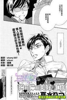 狗和猫和美好的工作