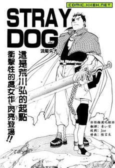 STRAY DOG