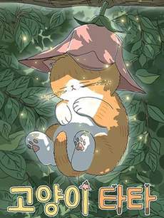 小猫塔塔