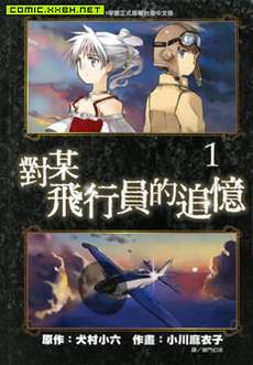 对某飞行员的追忆