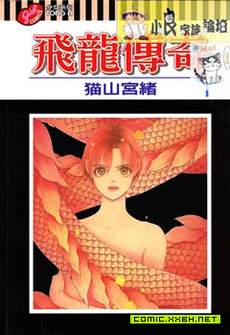 飞龙传奇