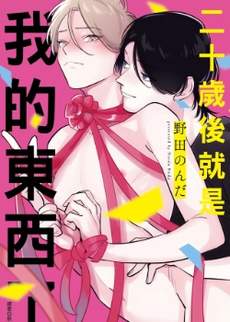 二十岁后就是我的东西了