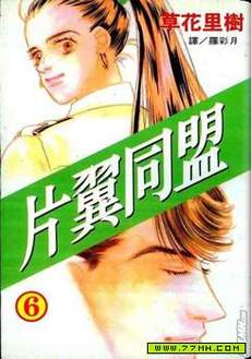 片翼同盟