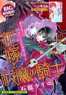 花嫁与驱魔骑士