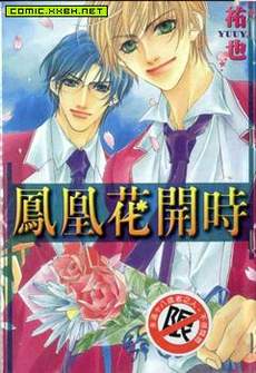 凤凰花开时