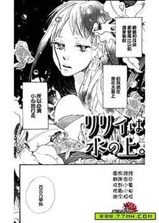 水面上的百合花