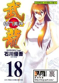 格斗美神武龙