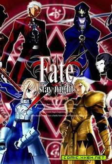 Fate stay night