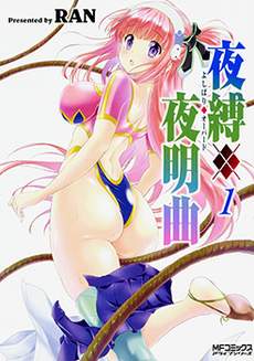 夜缚夜明曲
