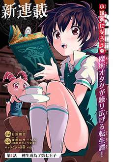 转生七王子的魔法全解