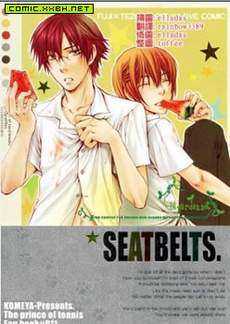 SEATBELTS