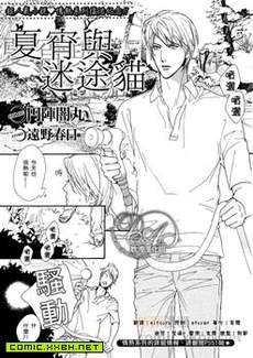 夏宵与迷途猫