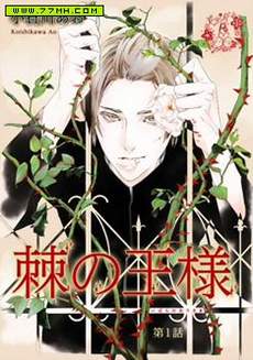 荆棘王