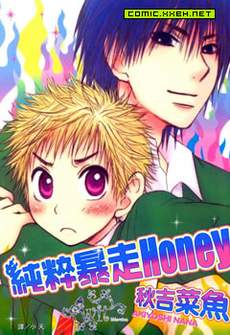 纯粹暴走HONEY