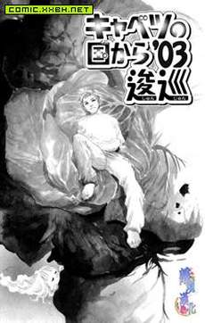 从卷心菜的国度而来