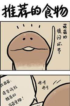 菇菇timeDX