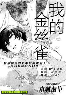 我的金丝雀