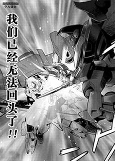 Code Geass 叛逆的鲁鲁修 外传 白之骑士 红之夜叉