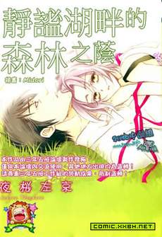 静谧湖畔的森林之荫