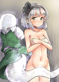 宝可妖梦GO