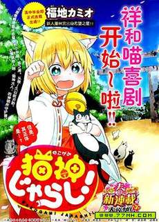 猫神逗猫草！
