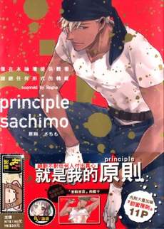 principle 原则