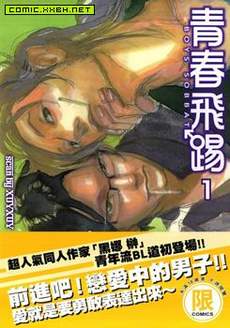 青春飞踢