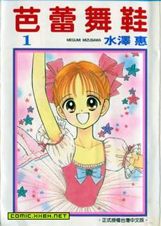 芭蕾舞鞋