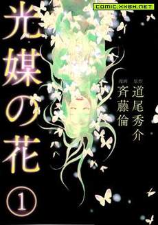 光媒之花