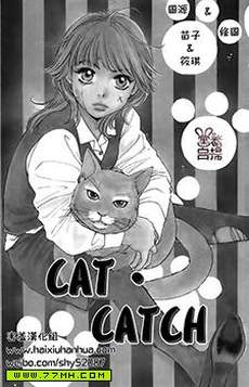 CAT CATCH