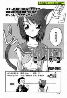 恋猫外传