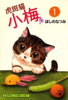 虎斑猫小梅