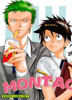Montage