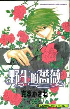 野生的蔷薇