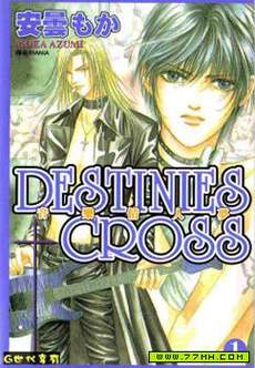 音乐情人梦DESTINIES CROSS