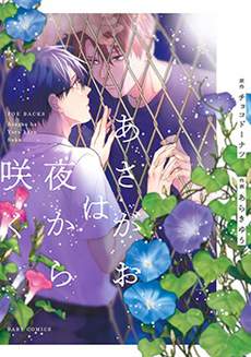 牵牛花自夜间绽放