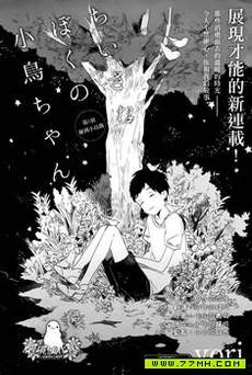 我那小小的鸟儿
