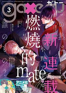 燃烧的mate