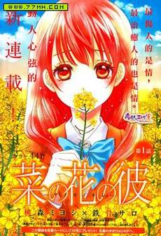 菜乃花的他