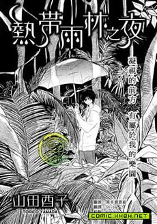 热带雨林之夜