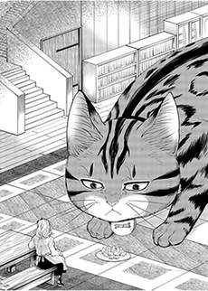 异世界猫和不高兴魔女