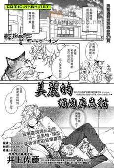 美丽的缅因库恩猫